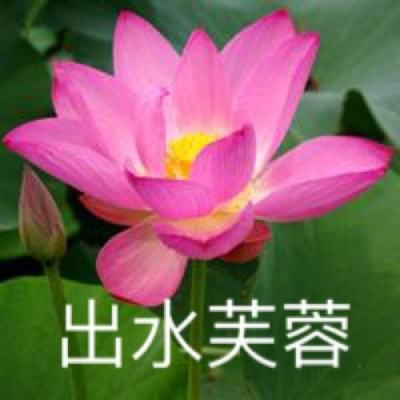 海沙风云最新版